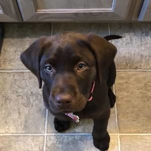 Meet your Posher, Beth